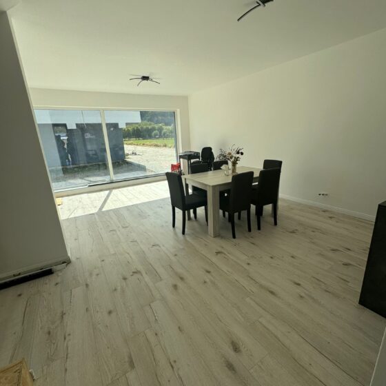 CreditImobiliar_case Rasinari (3)