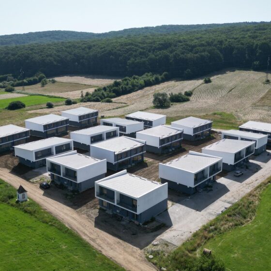 creditimobiliar-case-tip-duplex-rasinari-1